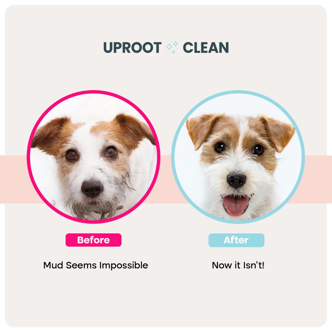 Uproot QuickClean™ Gloves Pro (2 Pack)