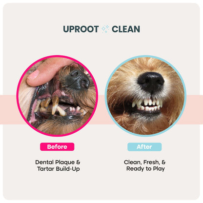 Uproot Head-to-Tail Wipe Set