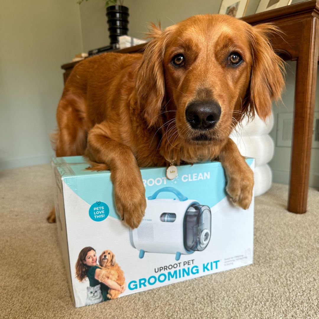 Uproot SilentGroom Pet Grooming Kit