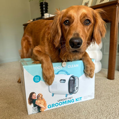 Uproot SilentGroom Pet Grooming Kit