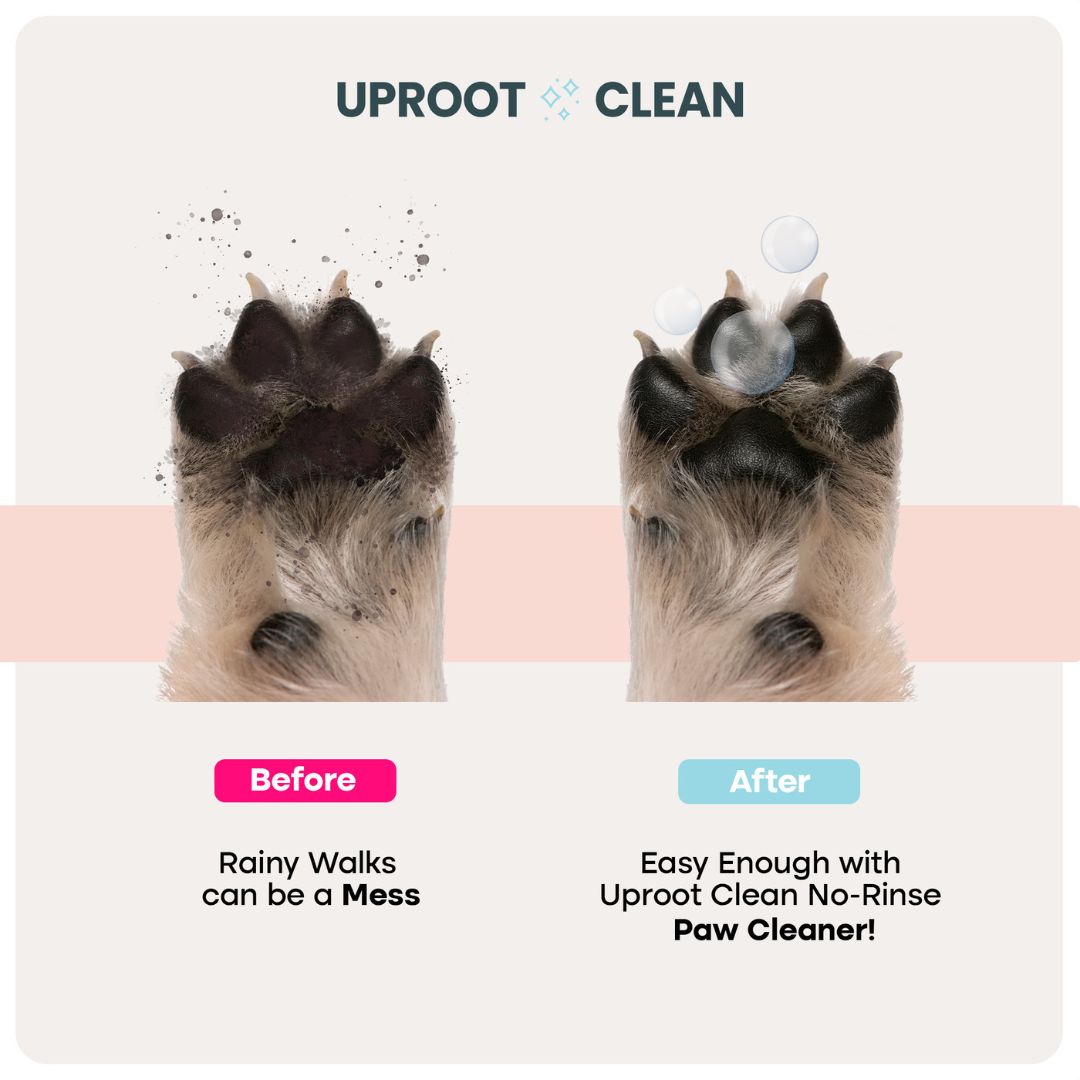 Uproot Paw Cleaner - Rinse-Free Foam Cleanser (150 Uses)