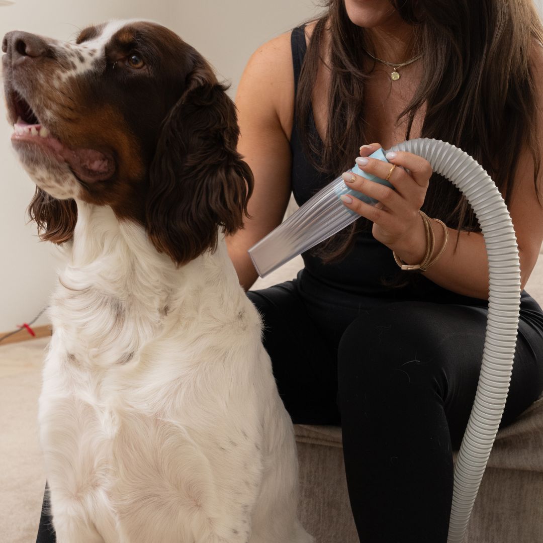 Uproot SilentGroom Pet Grooming Kit