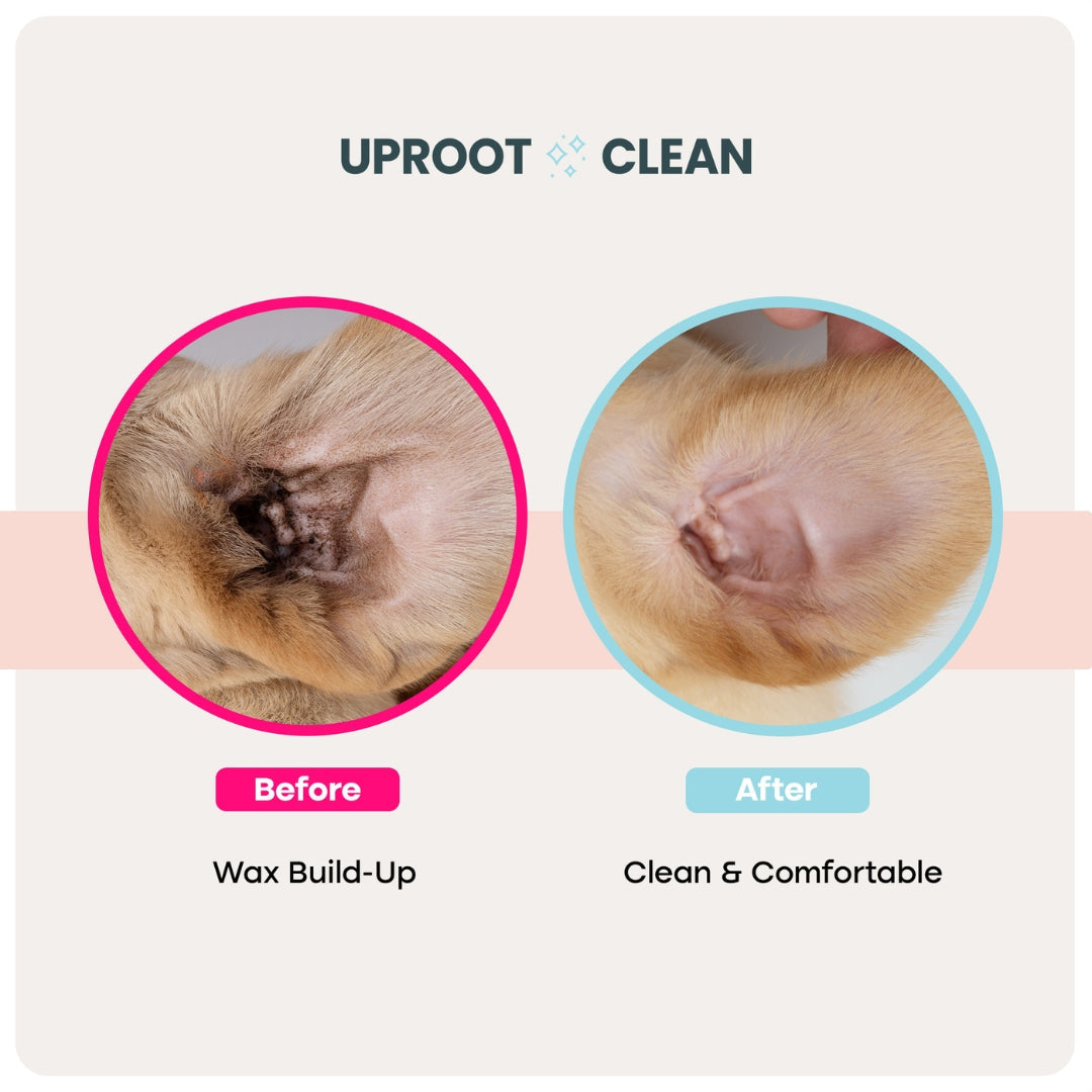 Uproot™ Ear Wipes