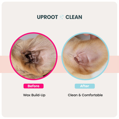 Uproot™ Ear Wipes