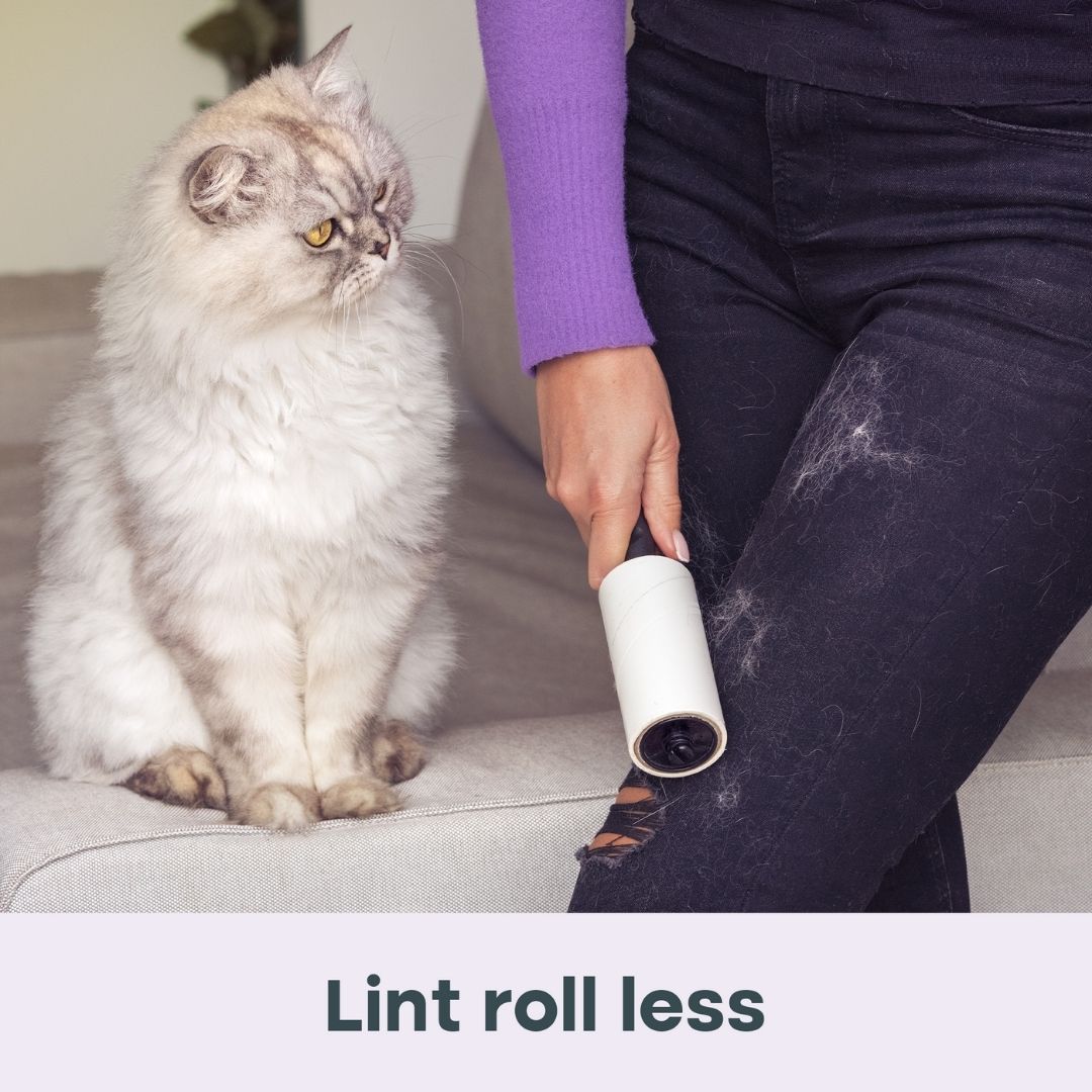 Uproot Dryer Sheets for Pet Owners - Summer Wisteria