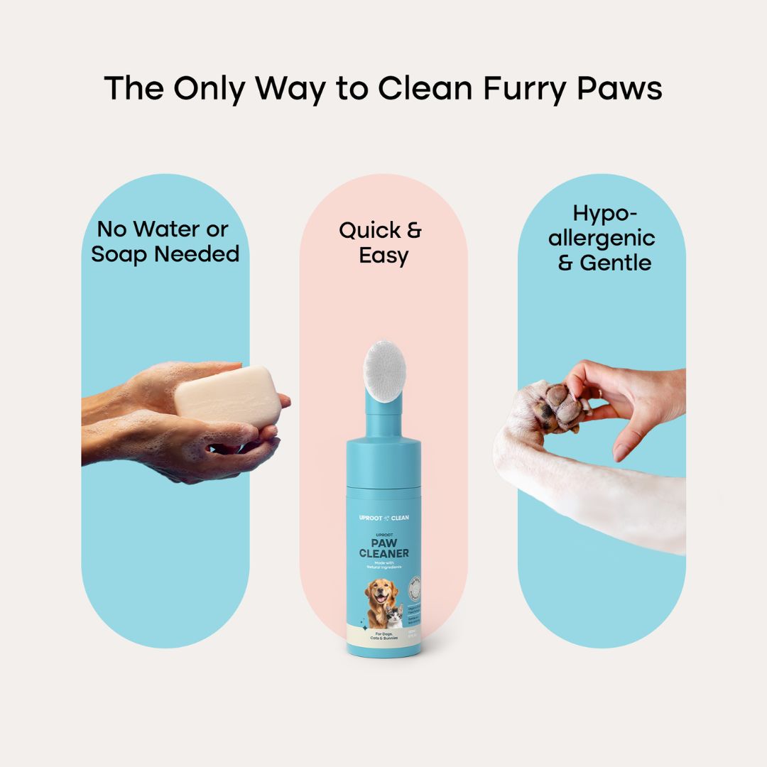 Uproot Paw Cleaner - Rinse-Free Foam Cleanser