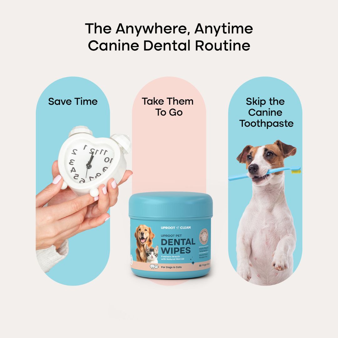 Uproot™ Dental Wipes