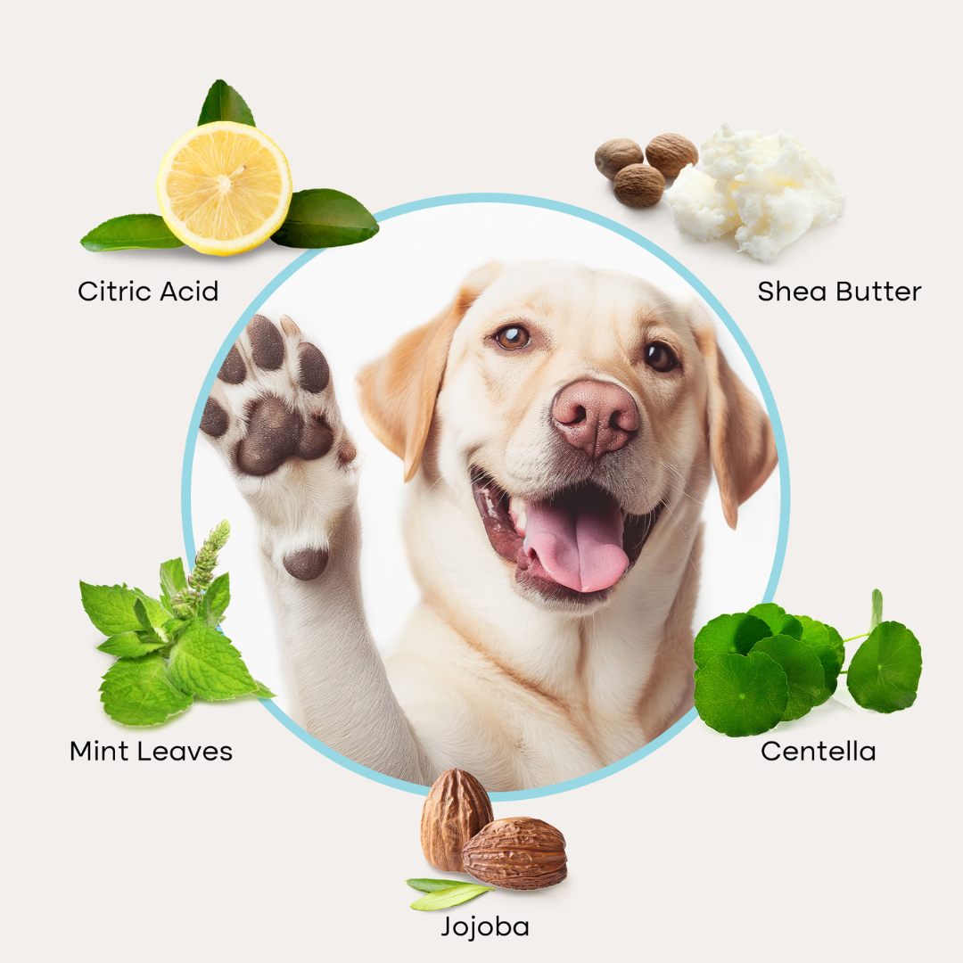 Uproot Paw Cleaner - Rinse-Free Foam Cleanser (150 Uses)
